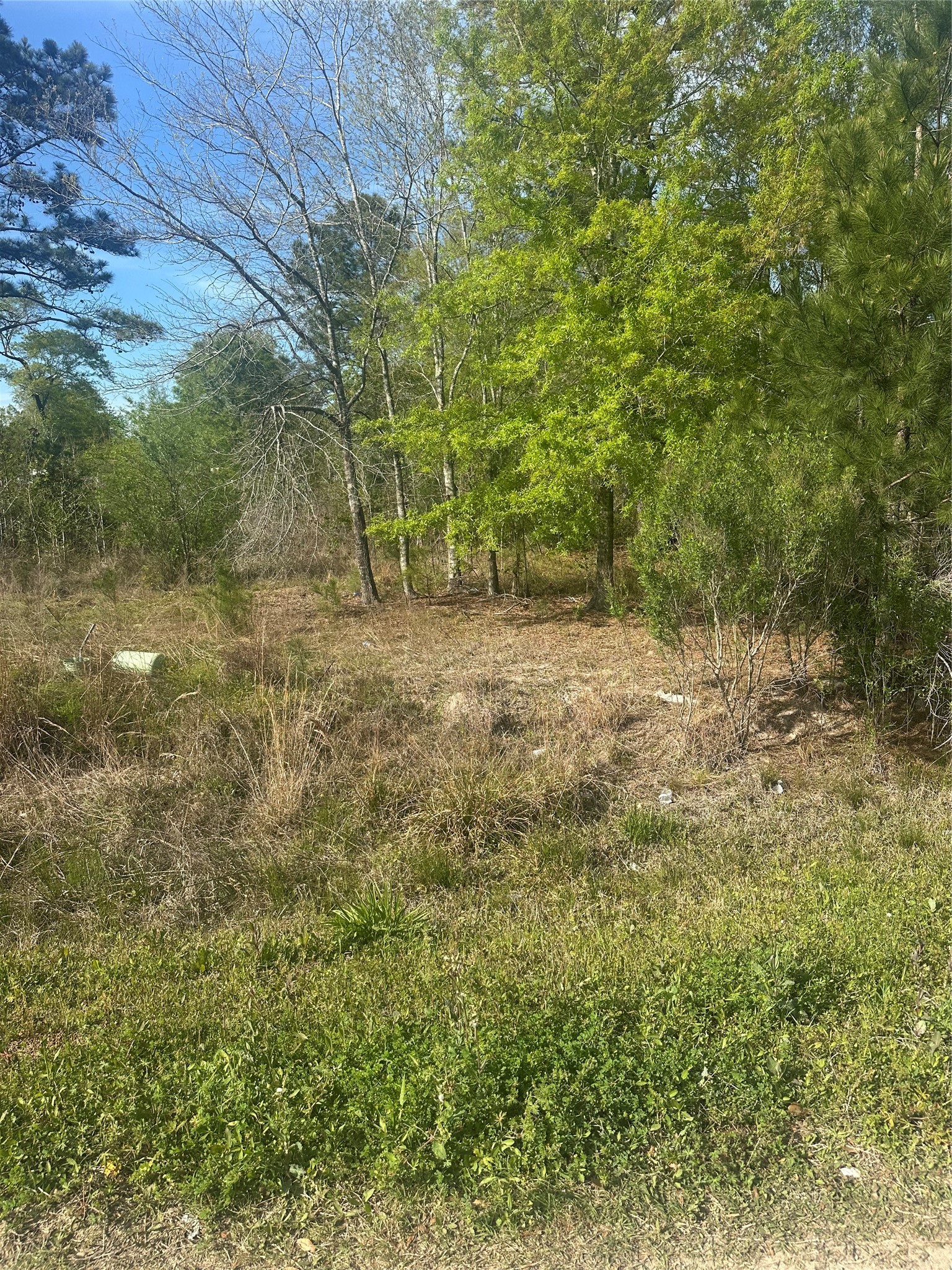 867 County Road 3415 Cleveland TX 77327
