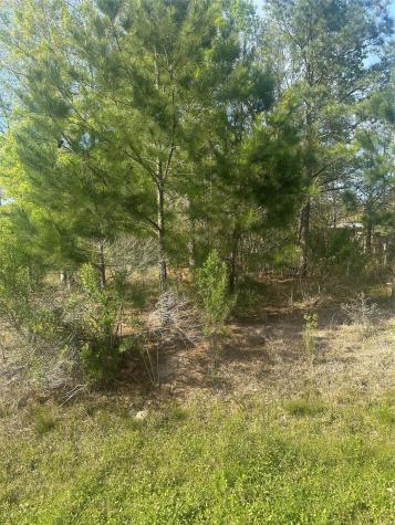 867 County Road 3415 Cleveland TX 77327