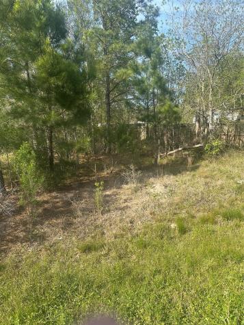 867 County Road 3415 Cleveland TX 77327