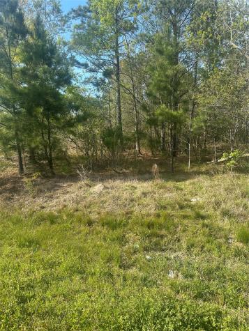 867 County Road 3415 Cleveland TX 77327