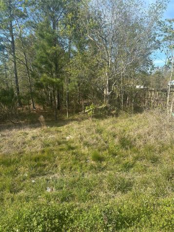 867 County Road 3415 Cleveland TX 77327