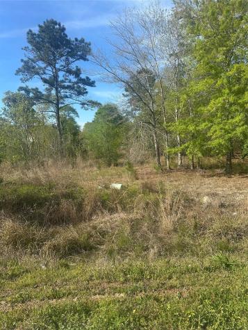 867 County Road 3415 Cleveland TX 77327
