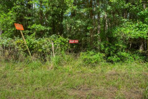 Lot 3 Utley Road Huntsville TX 77320