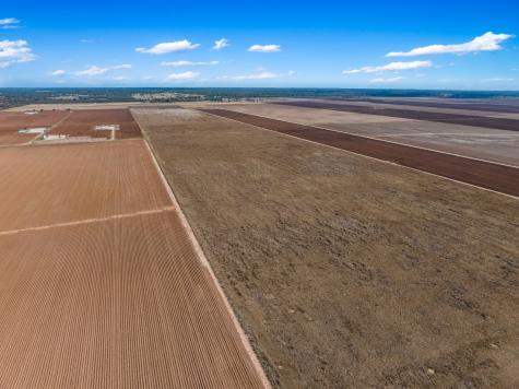 173.62 Acres Fm 50 Hearne TX 77859