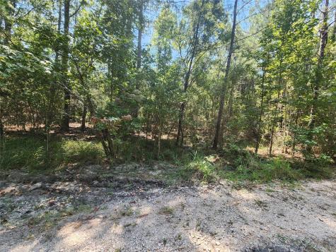 285 Sweet Gum Drive Brookeland TX 75931