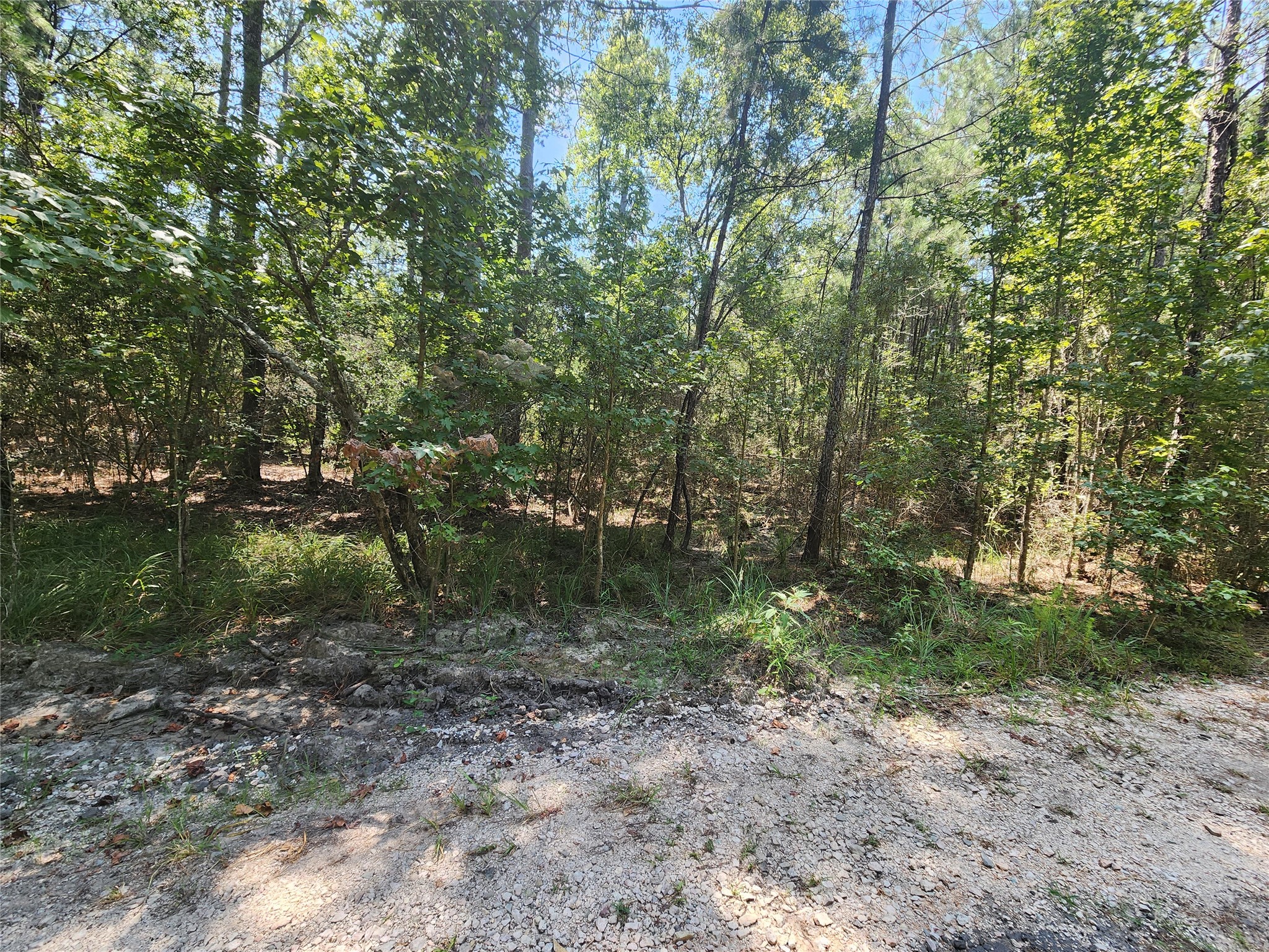 285 Sweet Gum Drive Brookeland TX 75931