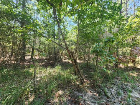285 Sweet Gum Drive Brookeland TX 75931