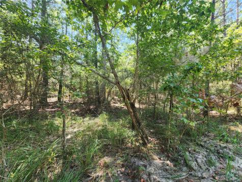 285 Sweet Gum Drive Brookeland TX 75931
