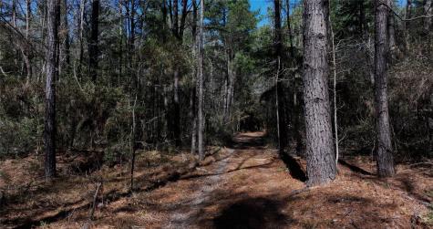 0000 Lake Falls Road Huntsville TX 77320