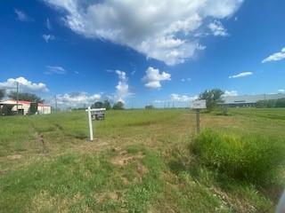 14411 Austin Bayou Drive Rosharon TX 77583