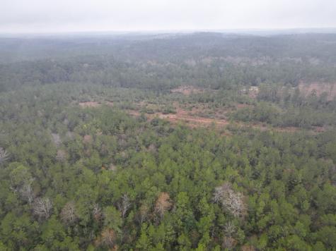 4 Rec Road 255 Colmesneil TX 75938