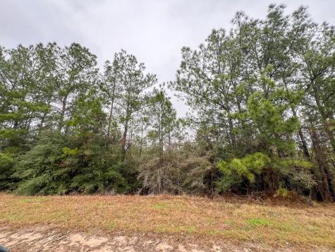 4 Rec Road 255 Colmesneil TX 75938
