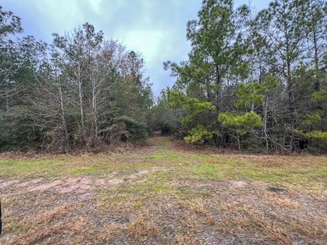 4 Rec Road 255 Colmesneil TX 75938