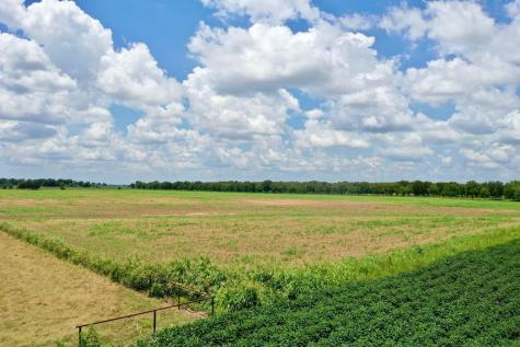 000 S County Road 267 Elm Grove TX 77434