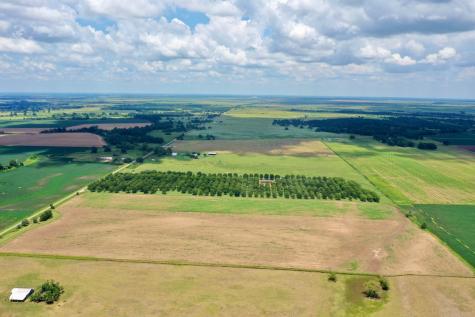 000 S County Road 267 Elm Grove TX 77434