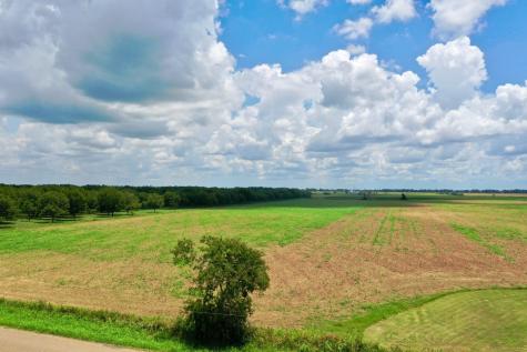 000 S County Road 267 Elm Grove TX 77434