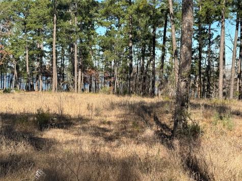 Tbd 024 Private Road 6028 Brookeland TX 75931