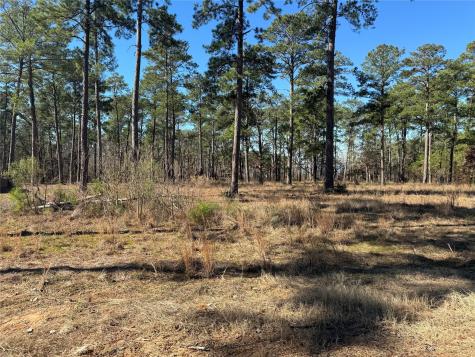 Tbd 024 Private Road 6028 Brookeland TX 75931