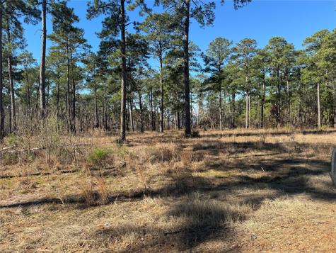 Tbd 024 Private Road 6028 Brookeland TX 75931