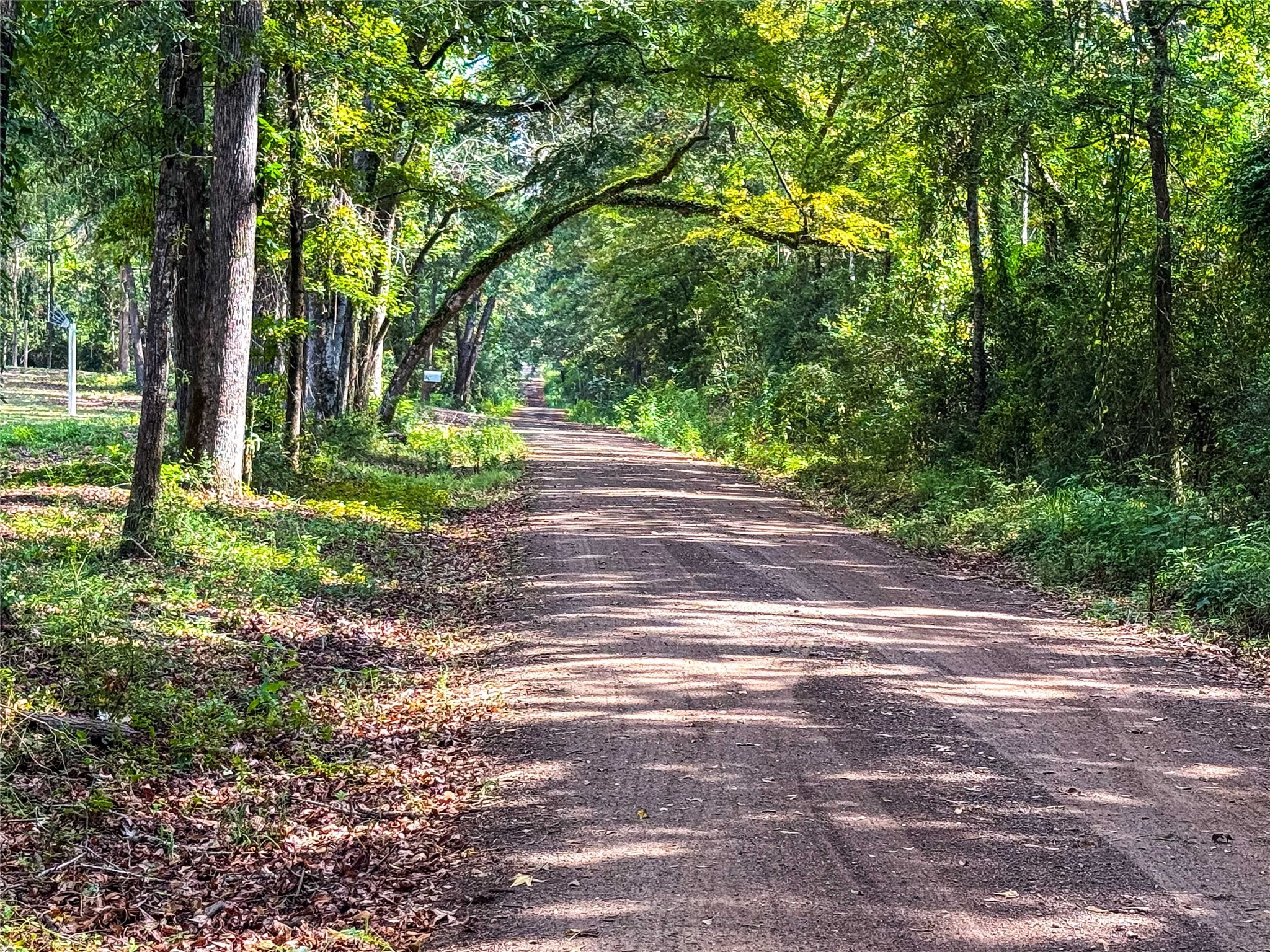 000 County Road 4111 Timpson TX 75975