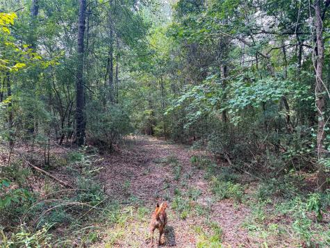 000 County Road 4111 Timpson TX 75975