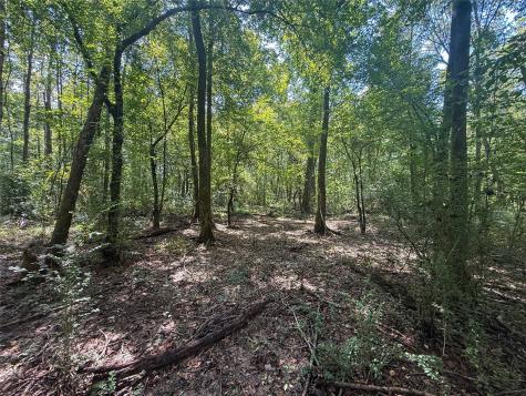 000 County Road 4111 Timpson TX 75975