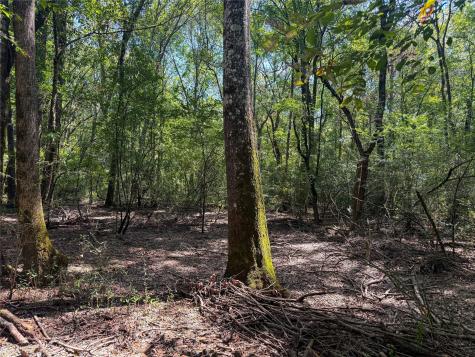 000 County Road 4111 Timpson TX 75975