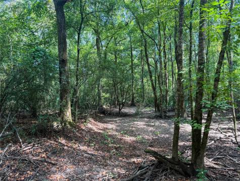000 County Road 4111 Timpson TX 75975