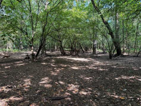 000 County Road 4111 Timpson TX 75975