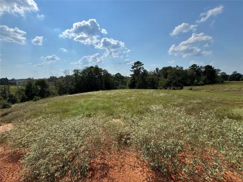 4867 Hunters Creek Hillister TX 75979