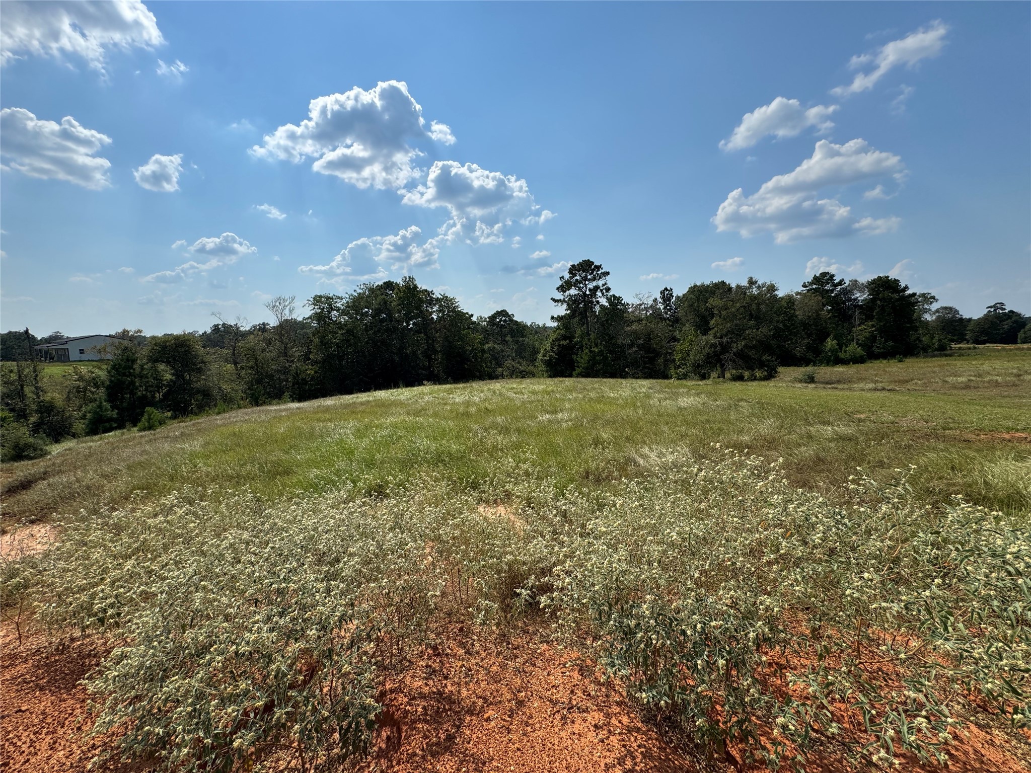 4867 Hunters Creek Hillister TX 75979
