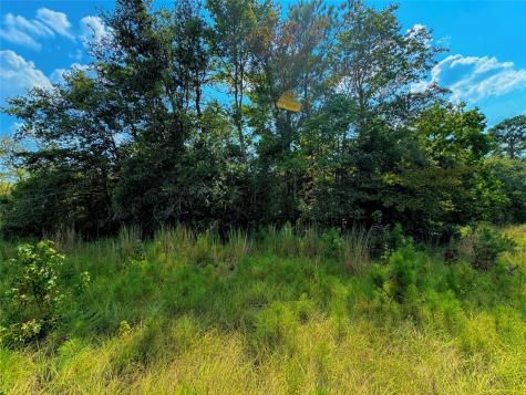 4867 Hunters Creek Hillister TX 75979