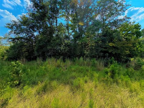 4867 Hunters Creek Hillister TX 75979