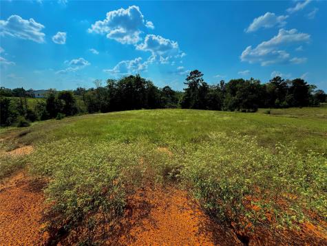 4867 Hunters Creek Hillister TX 75979