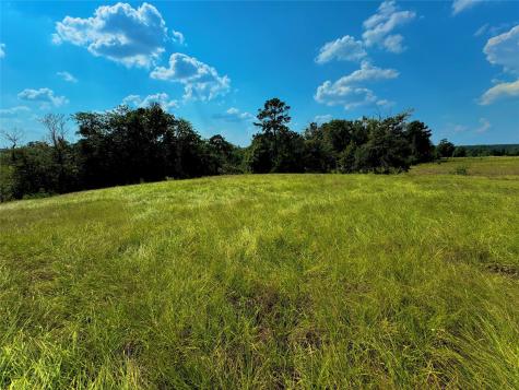 4867 Hunters Creek Hillister TX 75979