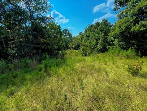 4867 Hunters Creek Hillister TX 75979
