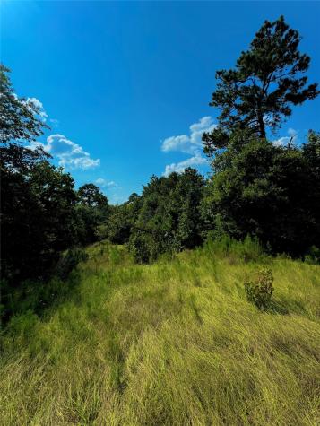 4867 Hunters Creek Hillister TX 75979