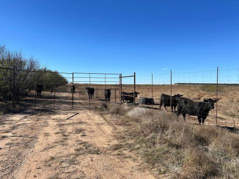 Lot 6 Us 283 Brady TX 76825