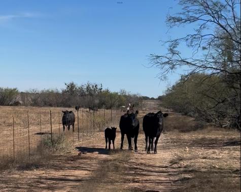 Lot 6 Us 283 Brady TX 76825