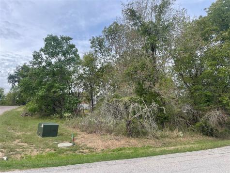 Tbd N Forest Cove Loop Coldspring TX 77331
