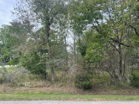 Tbd N Forest Cove Loop Coldspring TX 77331