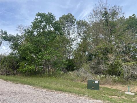 Tbd N Forest Cove Loop Coldspring TX 77331