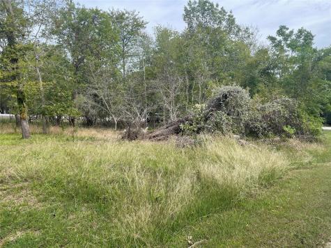 Tbd N Forest Cove Loop Coldspring TX 77331