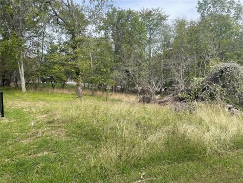 Tbd N Forest Cove Loop Coldspring TX 77331