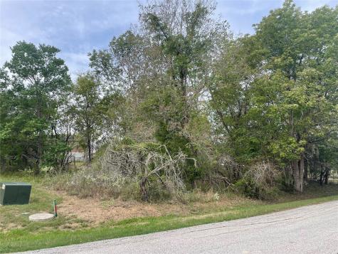 Tbd N Forest Cove Loop Coldspring TX 77331