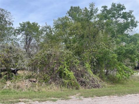 Tbd N Forest Cove Loop Coldspring TX 77331