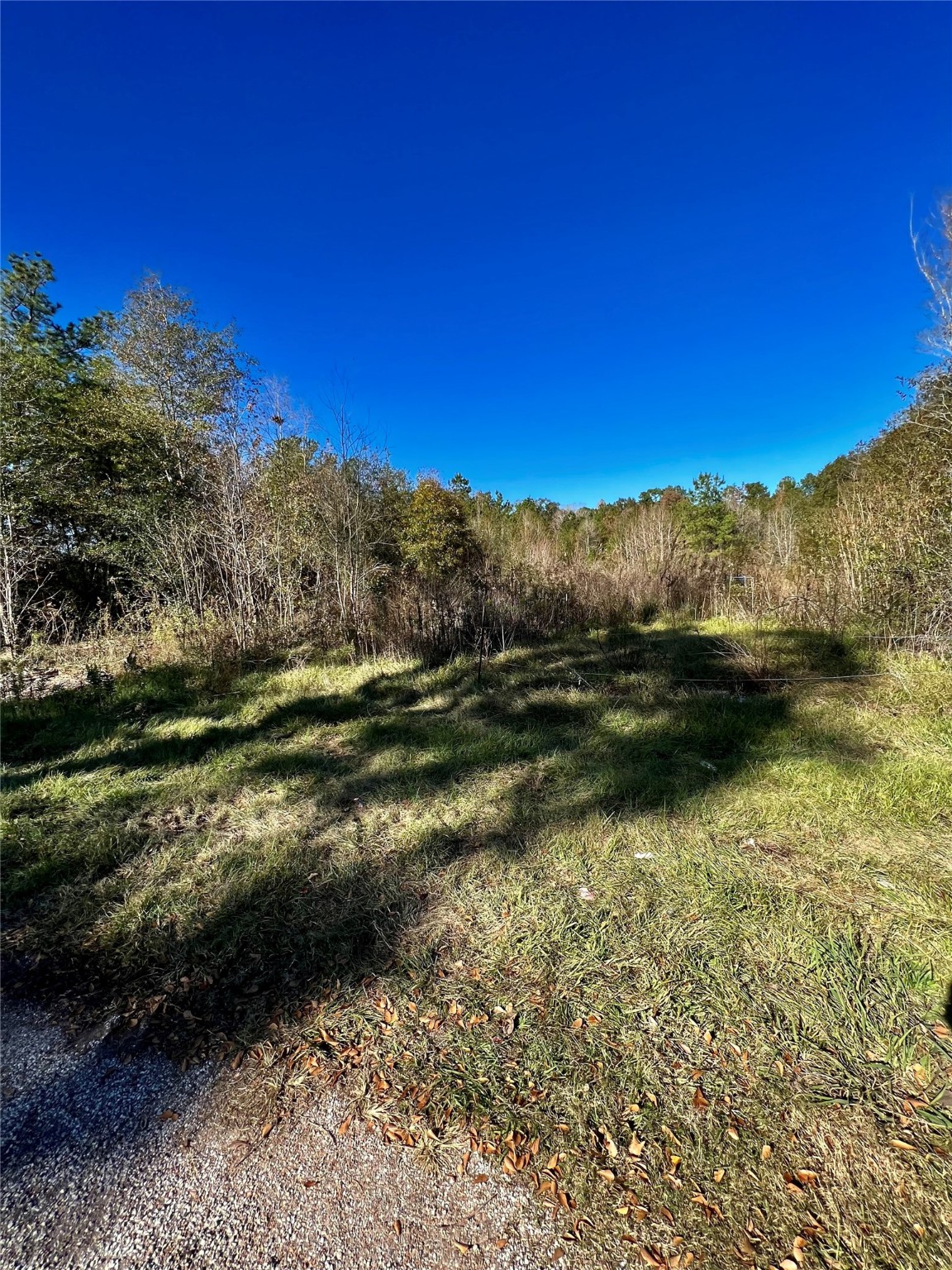 481 County Road 3892 W Cleveland TX 77328