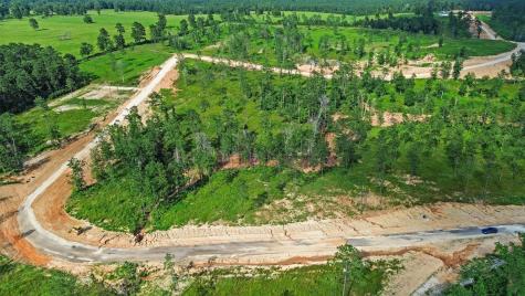 0 Anna Grace Road Livingston TX 77351