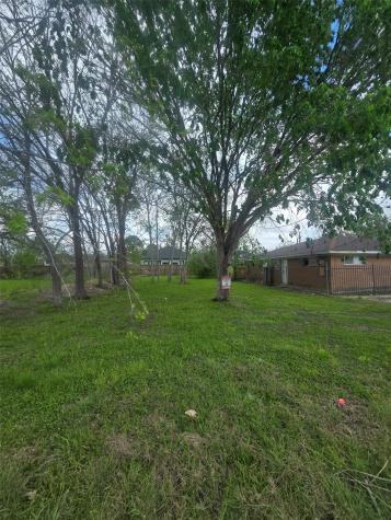 4917 Paula Street Houston TX 77033