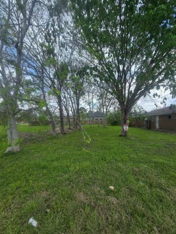 4917 Paula Street Houston TX 77033